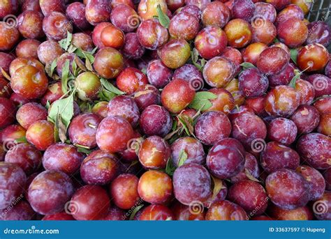 sweetie plum planetsuzy